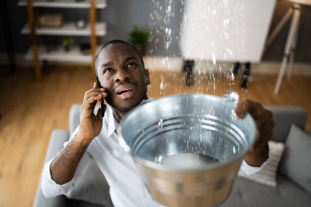 Best Professional water damage repair  in Morro Bay, CA