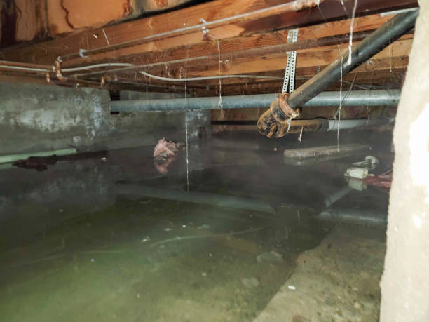 Best Commercial water damage restoration  in Morro Bay, CA