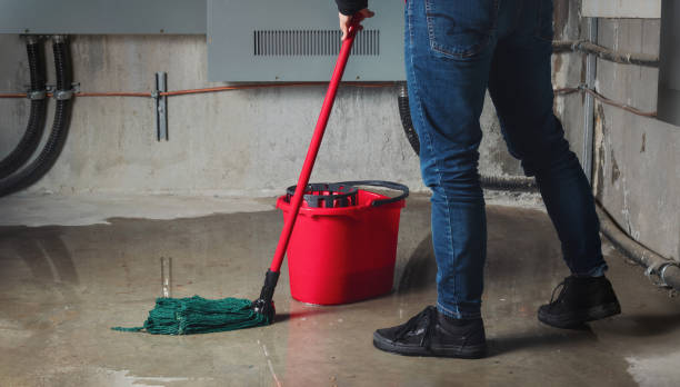 Best Carpet water damage restoration  in Morro Bay, CA