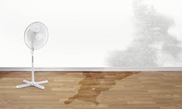 Reliable CA Water damage restoration Solutions