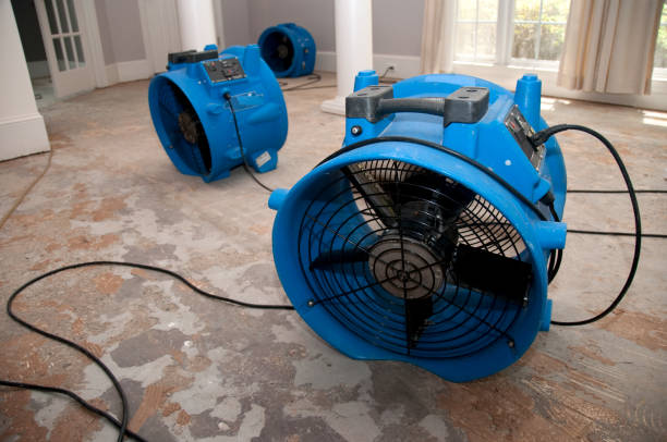 Best Mold removal after water damage  in Morro Bay, CA