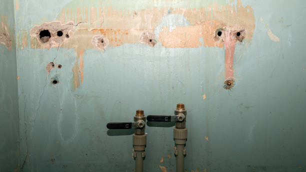 Best Water damage cleanup near me  in Morro Bay, CA
